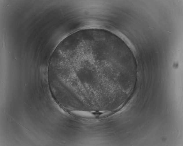 X0000093721337200711060928
