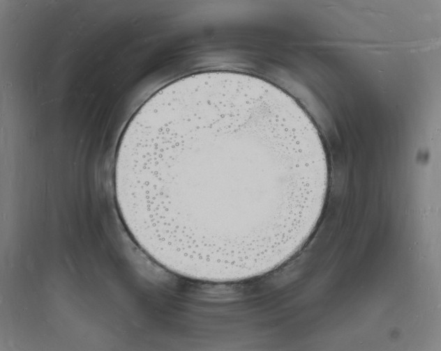 X0000093721338200711060928
