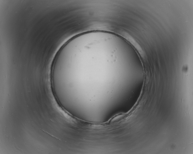 X0000093721339200711060928