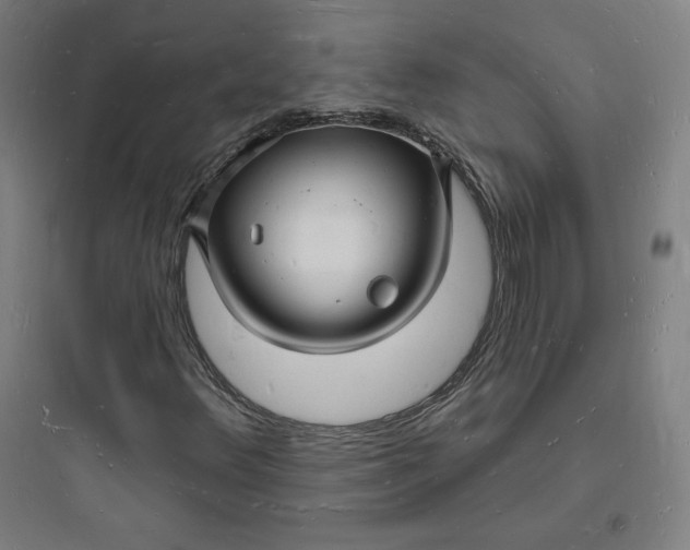 X0000093721348200711060927