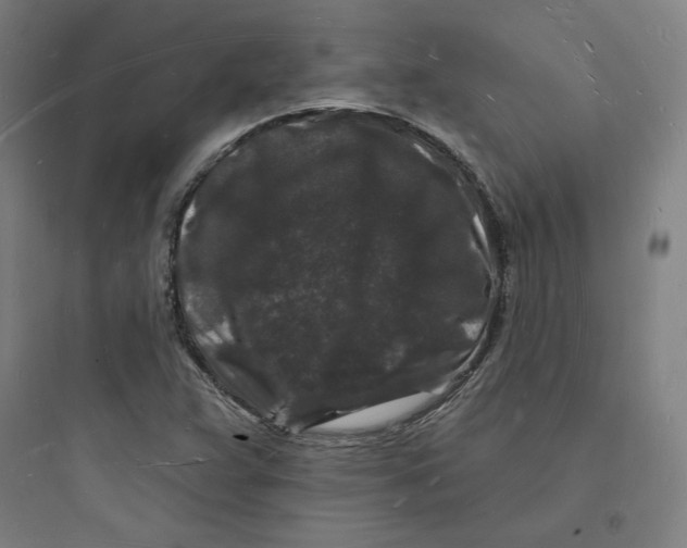 X0000093721359200711060927