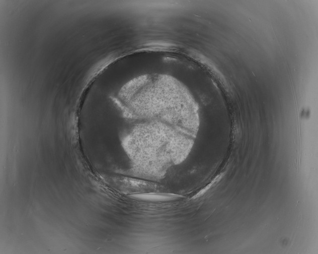 X0000093721362200711060927
