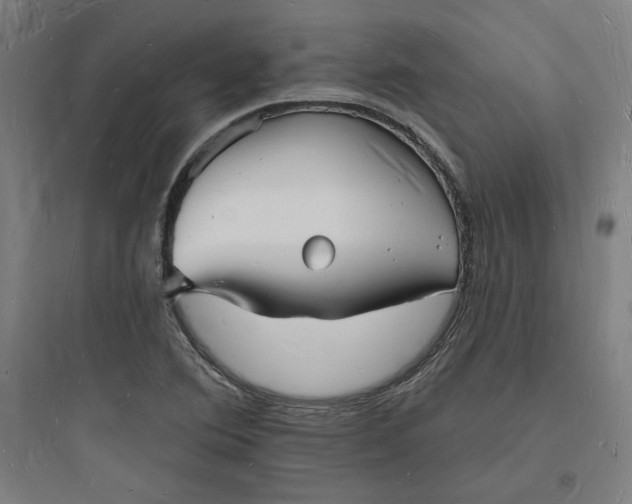 X0000093721364200711060927