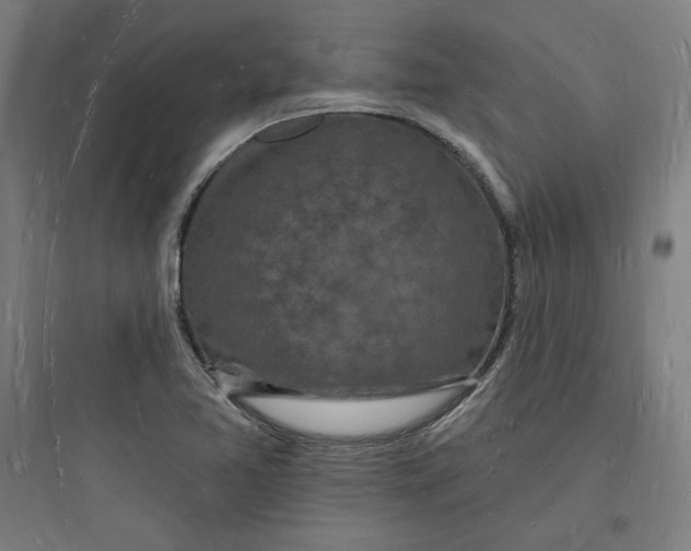 X0000093721365200711060927