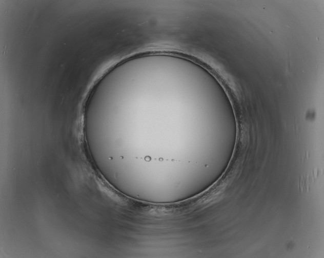 X0000093721366200711060927