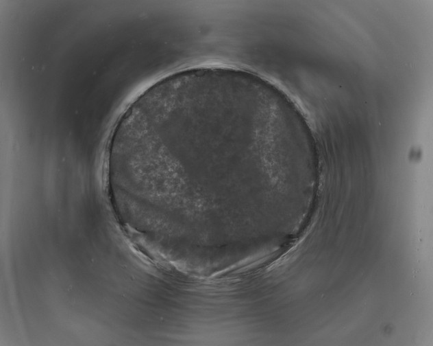 X0000093721367200711060927