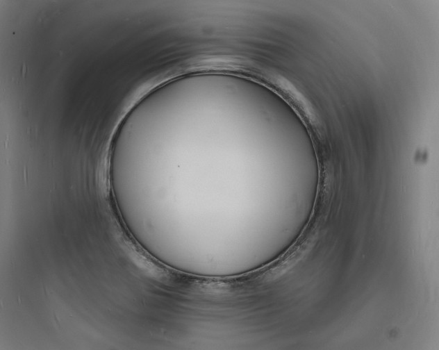 X0000093721370200711060927