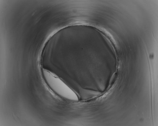 X0000093721373200711060927