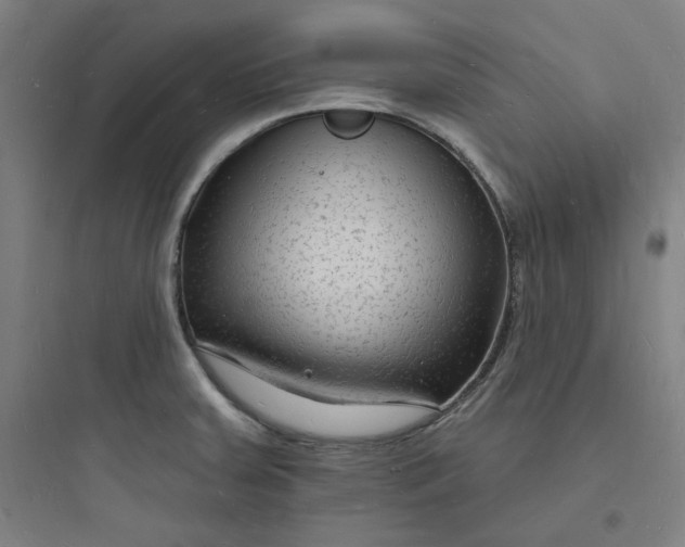 X0000093721379200711060927