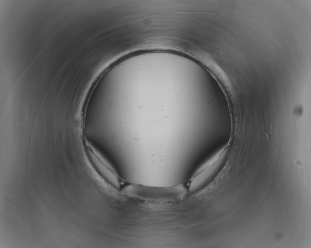 X0000093721380200711060927