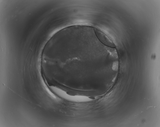 X0000093721383200711060927