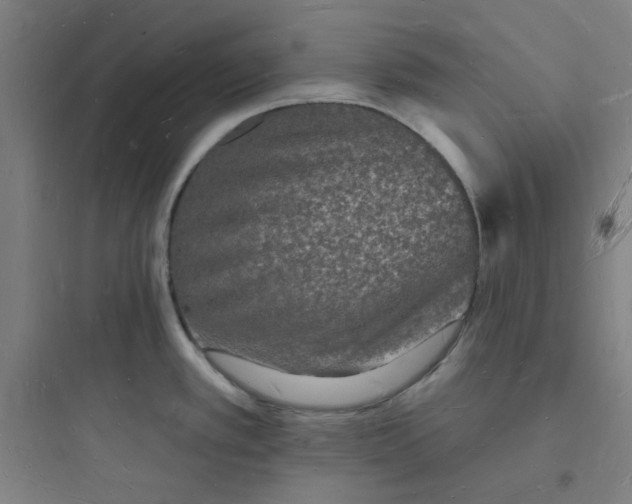 X0000093721389200711060927