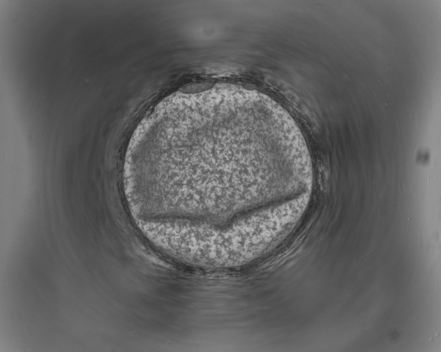 X0000093721393200711060926