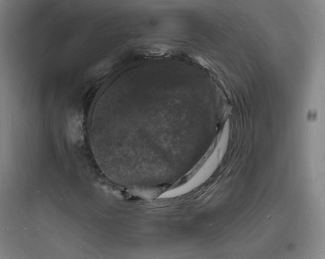 X0000093721394200711060926