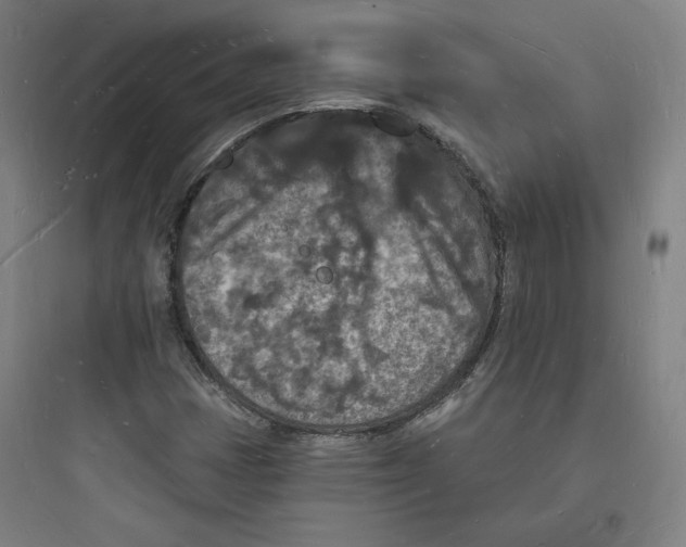 X0000093721401200711060926
