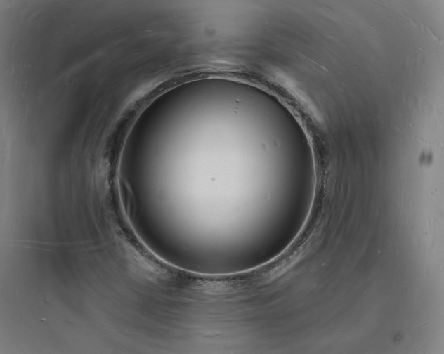 X0000093721402200711060926