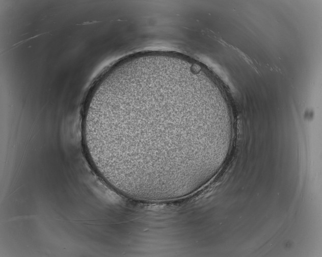 X0000093721408200711060926