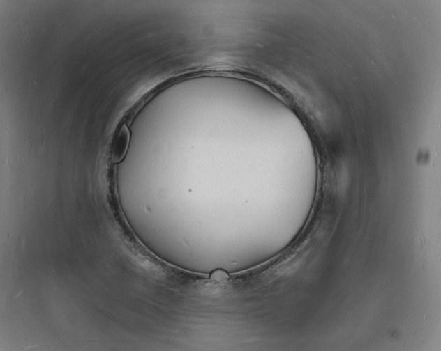 X0000093721410200711060926