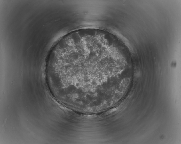 X0000093721411200711060926