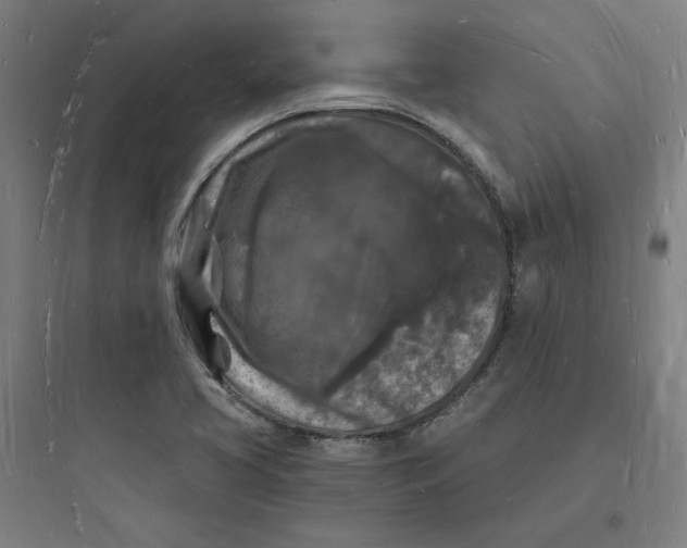 X0000093721413200711060926