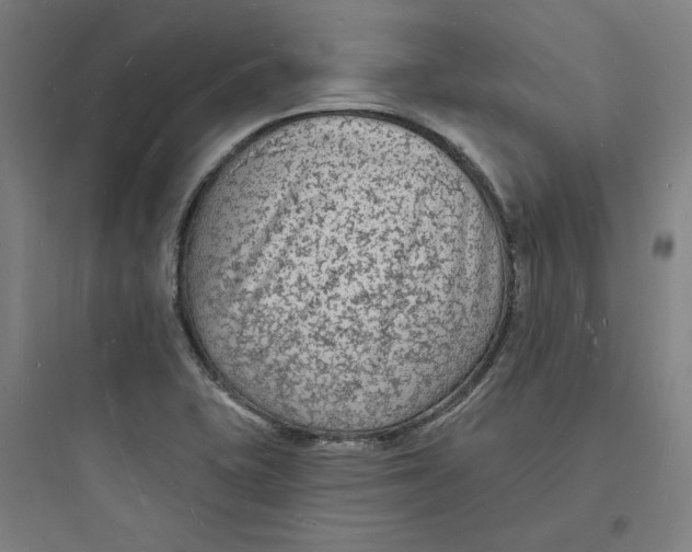 X0000093721415200711060926