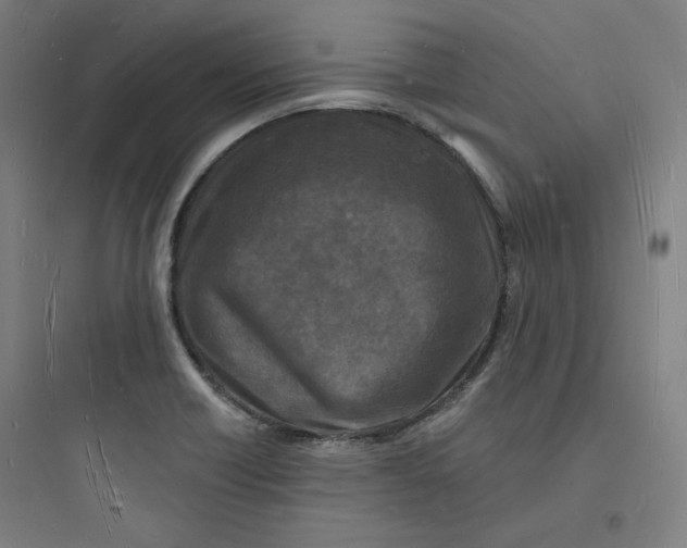 X0000093721418200711060926