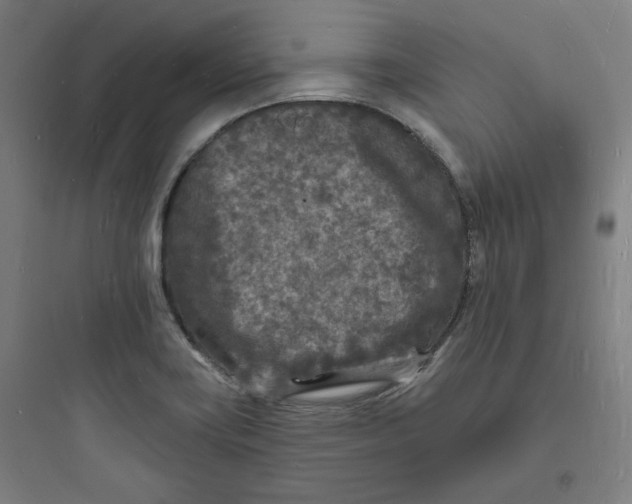 X0000093721419200711060926