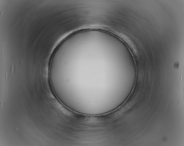 X0000093721420200711060926