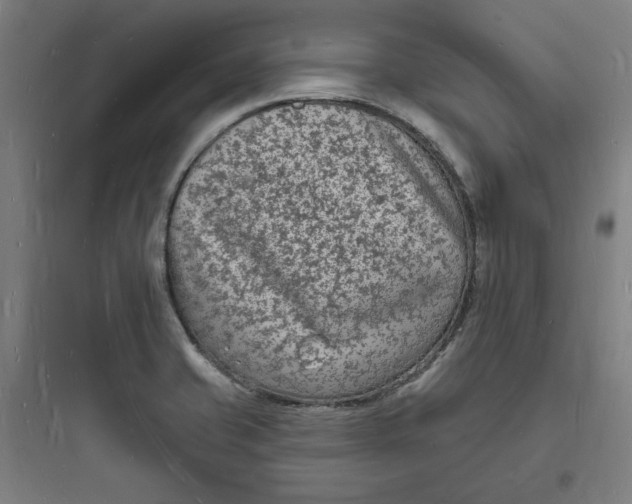 X0000093721421200711060927