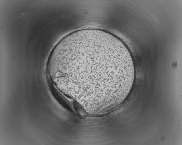 X0000093721423200711060927