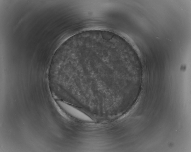 X0000093721425200711060927