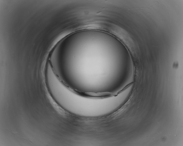 X0000093721426200711060927