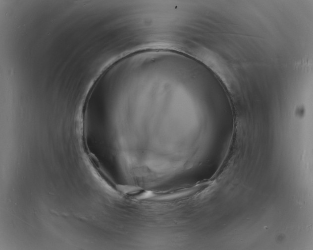 X0000093721428200711060927
