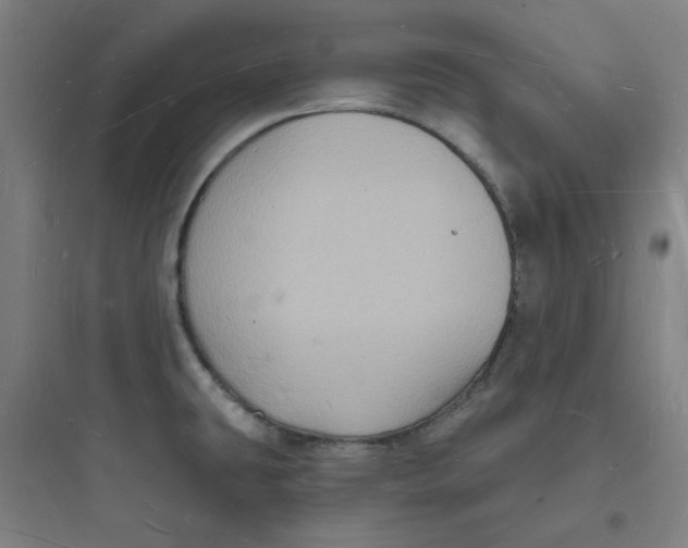 X0000093721431200711060927