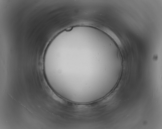 X0000093721436200711060927