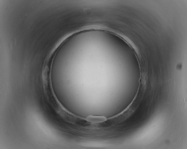 X0000093721438200711060927
