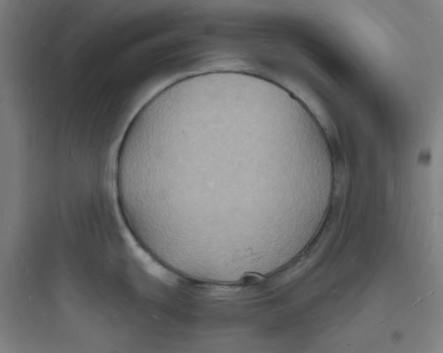 X0000093721439200711060927