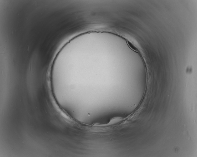 X0000093721440200711060927