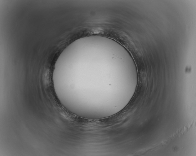 X0000093721442200711060926