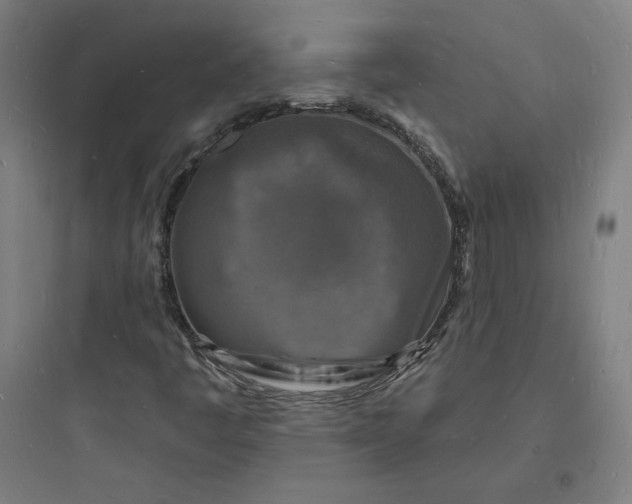 X0000093721445200711060926