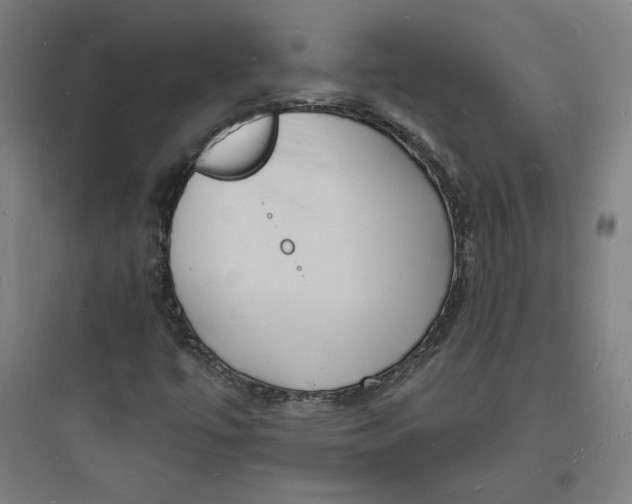 X0000093721447200711060926