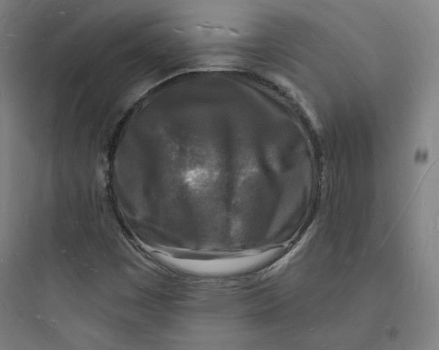 X0000093721449200711060926