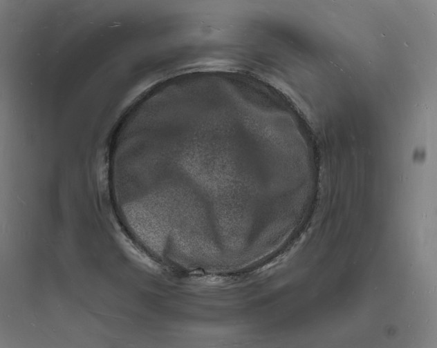 X0000093721450200711060926