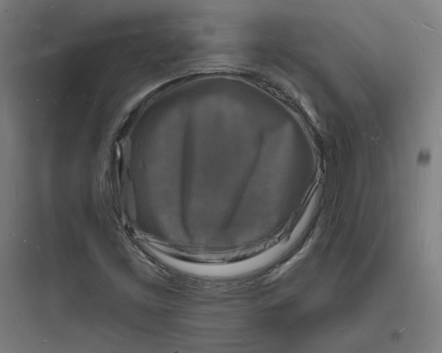 X0000093721453200711060926