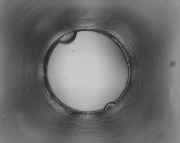 X0000093721458200711060926