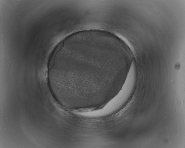 X0000093721461200711060926