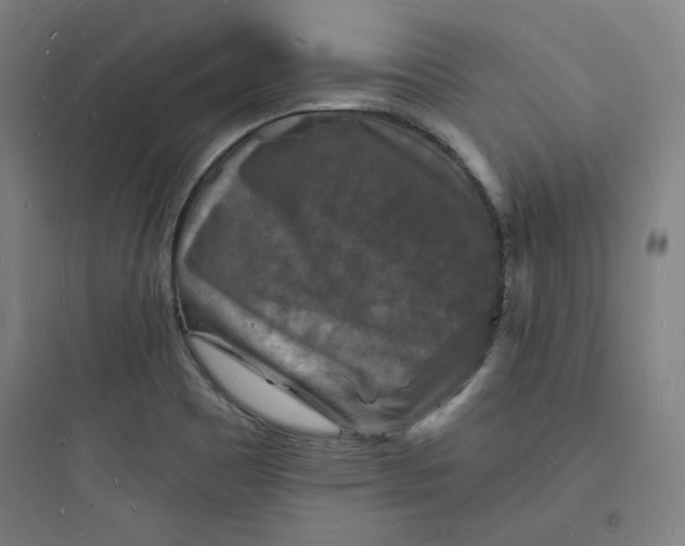 X0000093721465200711060926