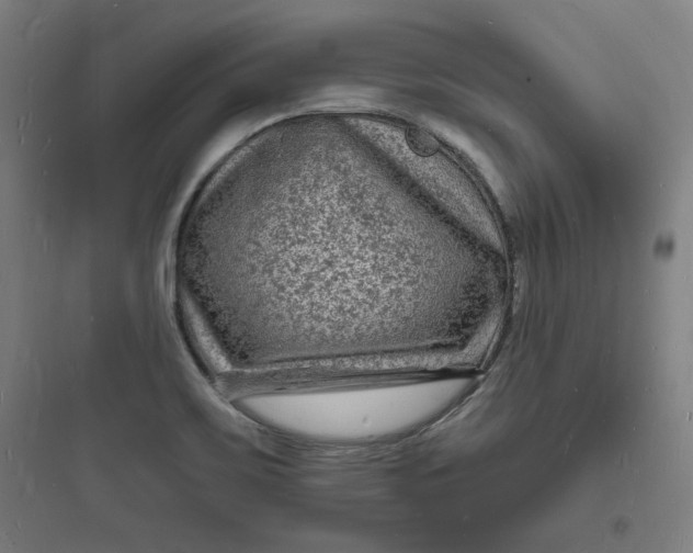 X0000093721467200711060926