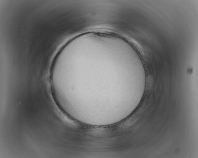 X0000093721470200711060926