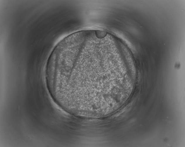 X0000093721471200711060926